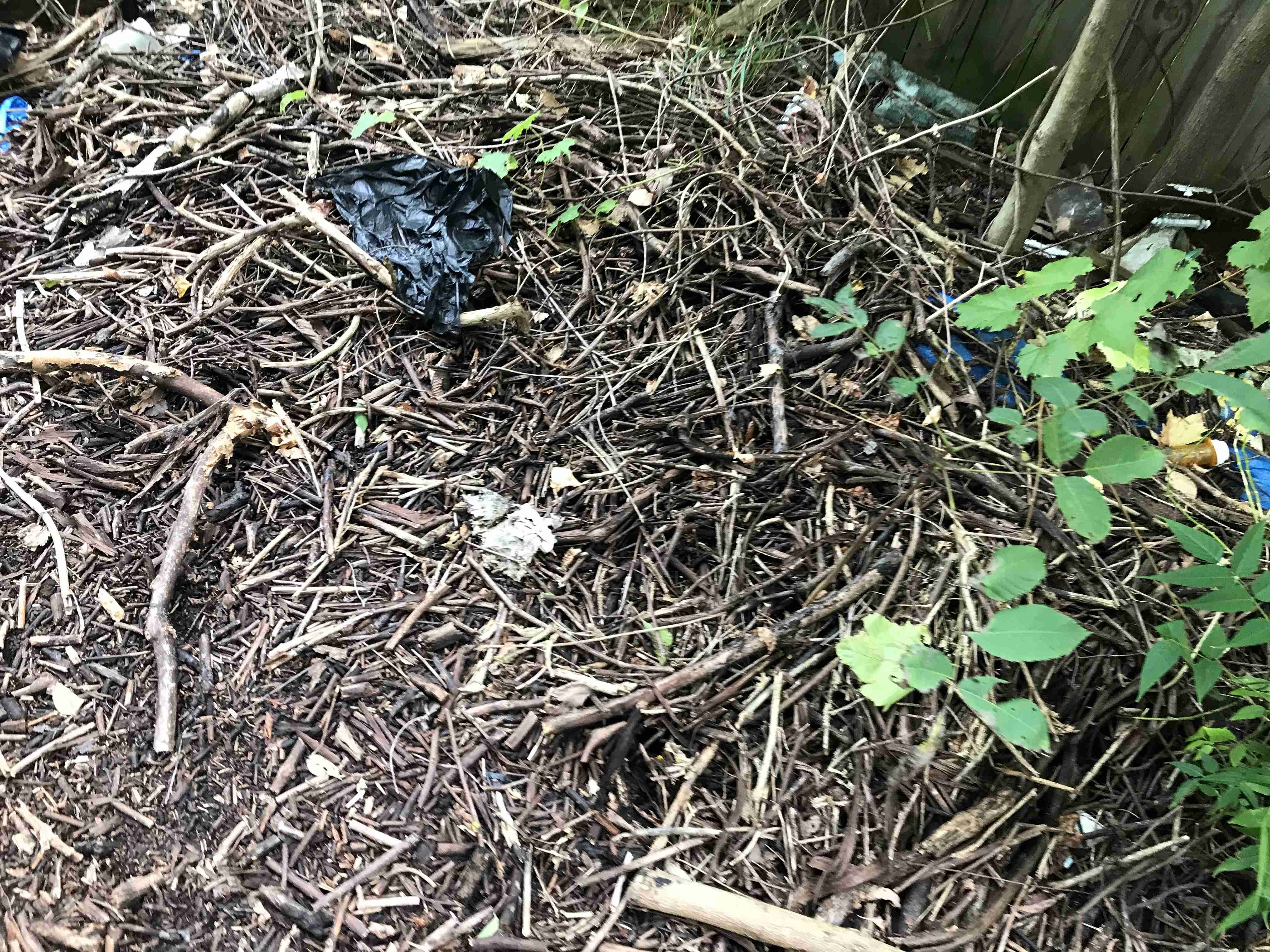 Photo Sep 10, 2 31 45 PM.jpg